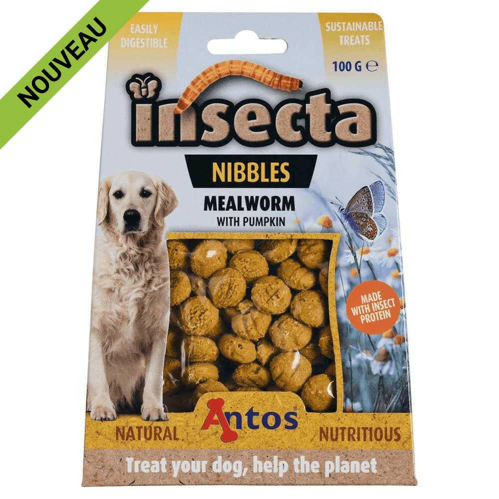 Insecta Nibbles Mealworm Pumpkin dog treats