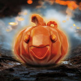 Friandise Citrouille pour Chien – Spéciale Halloween (60 g)