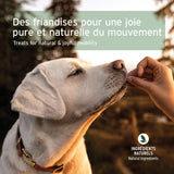 Snack Articulations AniForte® avec moules aux lèvres Vertes pour chien (300g)