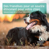 Friandises Hygiène Buccale pour Chien -  100 % naturel  - AniForte®  50g