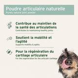 AniForte® Poudre de Moule Verte pour Chiens et Chats — Soutien Articulaire 250g