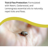 Colloidal Silver Shampoo with Tick and Flea Repellent