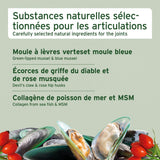 Snack Articulations AniForte® avec moules aux lèvres Vertes pour chien (300g)
