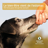 Snack estomac & intestins pour Chiens 300 g - 100% Naturel  - AniForte® 300g