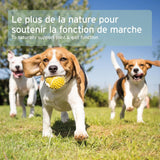 Gélules de Moule Verte de Nouvelle-Zélande AniForte®