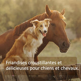 Bâtonnets de Noix de Coco Bio AniForte®
Friandise pour chien et cheval