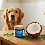 Dentifrice Naturel au Neem & Coco – Soin Bucco-Dentaire