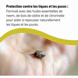 Colloidal silver, a natural repellent against ticks and fleas for dogs. 