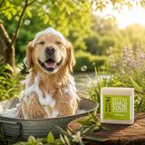 Shampoing solide au neem & coco – anti-parasitaire  pour chien Neem Shield