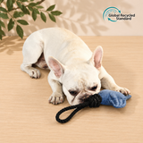 Peluche sonore écologique pour chien – Raie avec corde