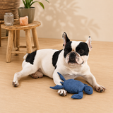 Peluche sonore écologique pour chien – Tortue