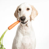 Cooka's Cookies Flocons de Carotte Séchés à l'Air pour Chiens