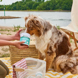 Friandises Hygiène Buccale pour Chien -  100 % naturel  - Denta Snack AniForte®  50g