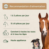 Friandise pour chien et cheval - Bâtonnets de Noix de Coco Bio AniForte