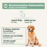 Gélules de Moule Verte de Nouvelle-Zélande AniForte®
