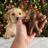 Friandises dentaires de Noël pour chien | Cadeaux de Noël