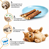 Bâtonnets de Matatabi (Silvervine) pour Chat