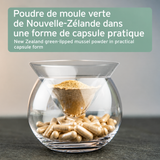 Gélules de Moule Verte de Nouvelle-Zélande AniForte®