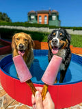 Préparation Glace pour Chien & Chat | Cooka's Cookies