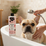 shampooing naturel chien plouf