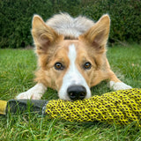 Cedric le canard , Eco Toy for dogs