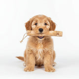 Bâton en Bois de Caféier pour Petit Chien – Taille XS - La Patte Verte