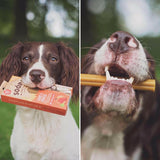 Bâtonnets à mâcher pour chien - Carotte et à la Citrouille - La Patte Verte