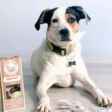 Friandises Caroube et Banane Chien | Cooka's Cookies
