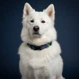 Collier pour Chien Monsters - La Patte Verte