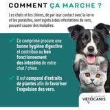 Comprimés contre les Vers intestinaux pour Chien et Chat aux plantes - La Patte Verte