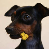 Biscuits à la patate douce et au curcuma pour chiens – cooka's cookies - La Patte Verte