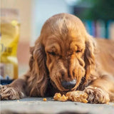Yak Cheese strip puffs  for Dogs 