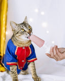 Préparation Glace pour Chien & Chat | Cooka's Cookies