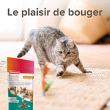 Flexifit Friandises articulations pour chat - 35g - La Patte Verte