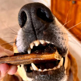 Friandise naturelle Spaghetti de porc pour chien - La Patte Verte