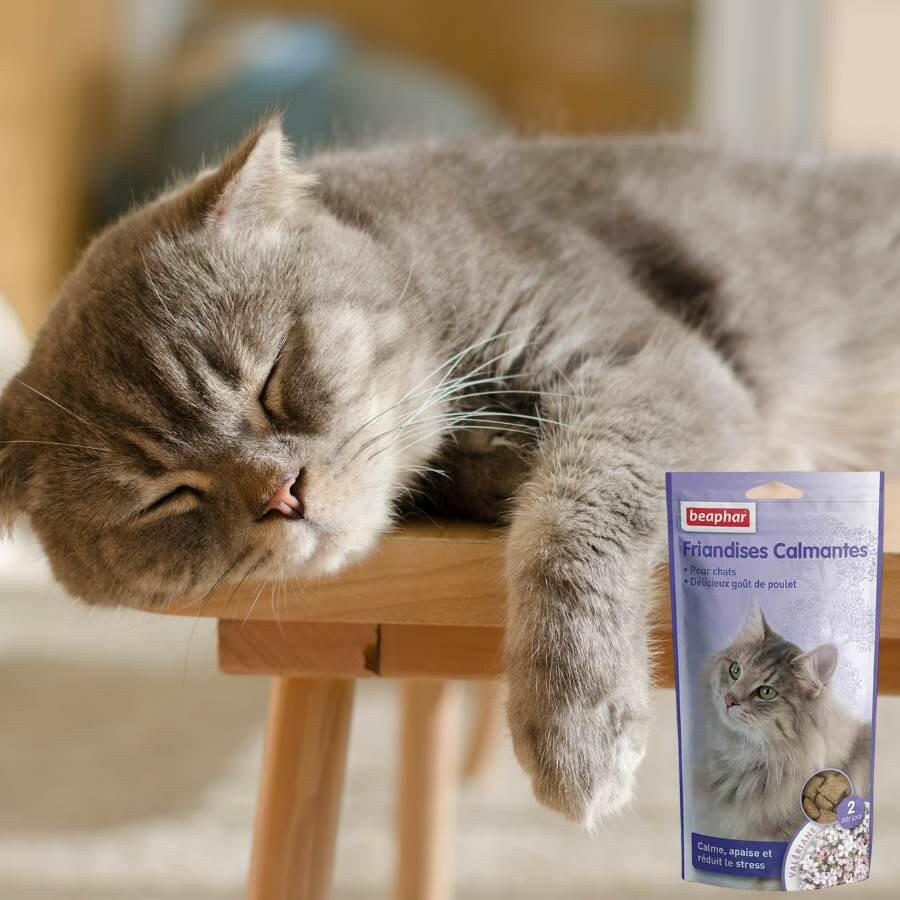 Calming treats with valerian for cats 35 g