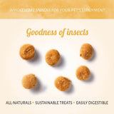 Mouche Soldat Noire & Pomme — Friandises pour chien Insecta (100g)