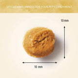 Mouche Soldat Noire & Pomme — Friandises pour chien Insecta (100g)