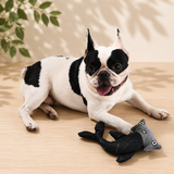 jouet chien eco