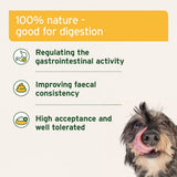 Tourbe Naturelle AniForte — Soutien de la Digestion et du Système