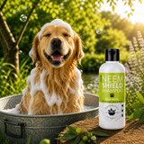 neem shampooing chien