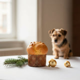 Panettone Gourmandise Artisanale pour Chiens - La Patte Verte