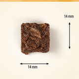 Friandises pour chien - Bouchées Lyophilisées Bœuf & Citrouille (90g)